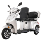 Triciclu electric Samus Dallas-3R2-10T1000-60V20