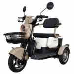 Triciclu electric Samus Kentucky-3R1-10T1000-60V20