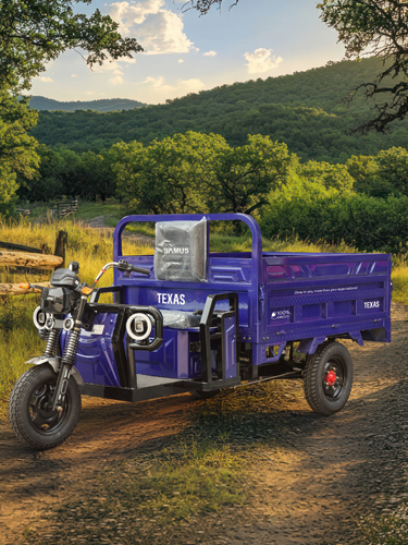 Tricicluri electrice Cargo