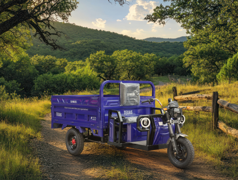 Gaseste triciclul cargo potrivit pentru tine