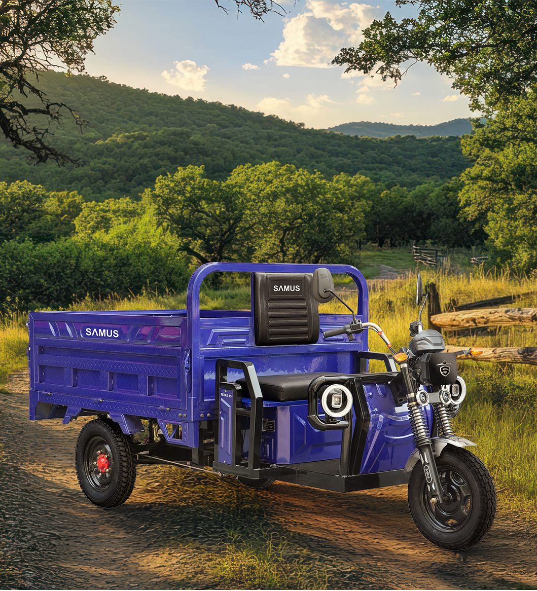 Tricicluri electrice Cargo